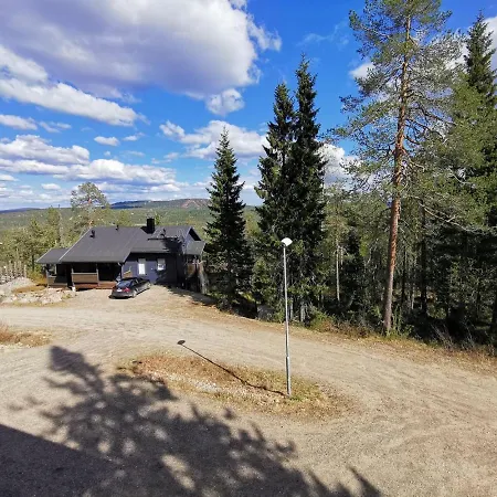 Huvikallio A Holiday home Syote